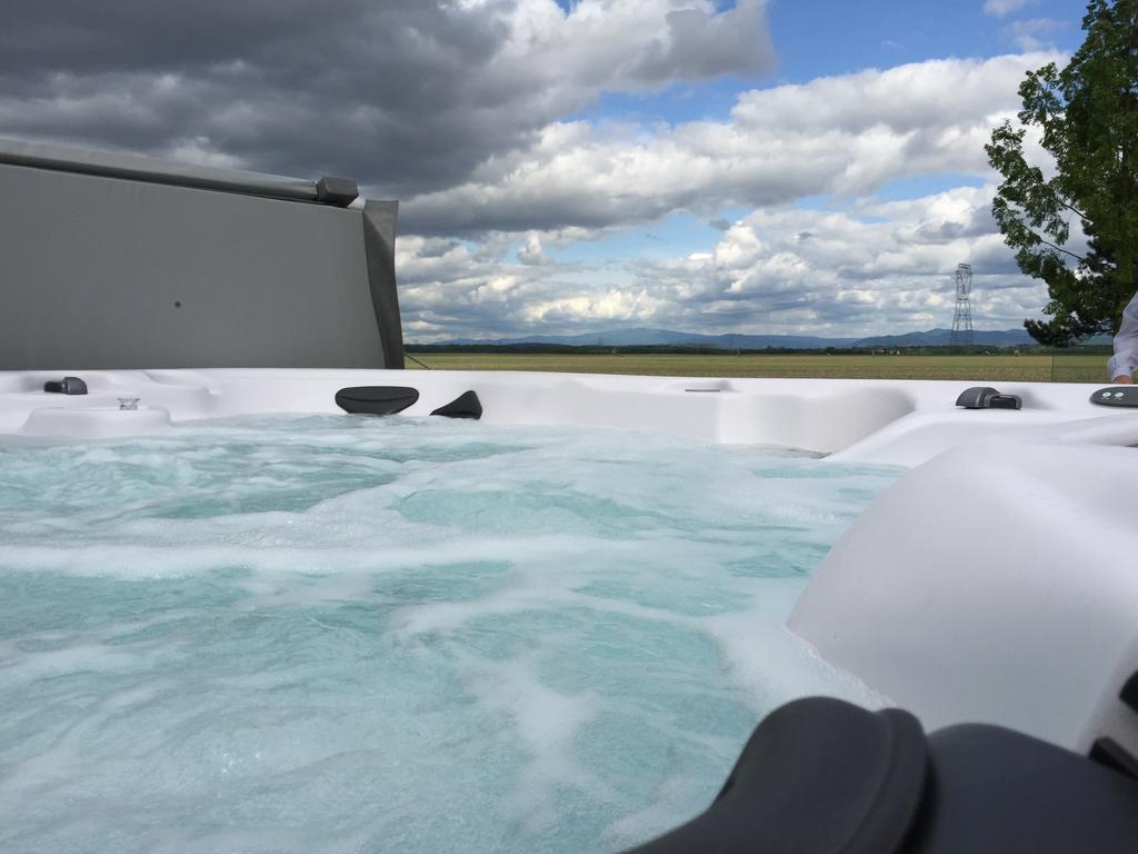 Nambsheim L'Atelier 4 Stars Luxury, Hot Tub, Pool 빌라 객실 사진